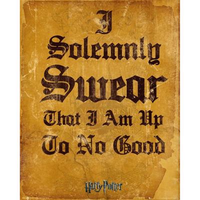 Harry Potter I Solomnly Swear Poster 40x50cm