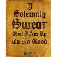 Harry Potter I Solomnly Swear Poster 40x50cm - thumbnail