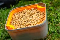 Guru Maggot Riddle Orange - thumbnail