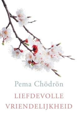 Liefdevolle vriendelijkheid - Pema Chödrön - ebook
