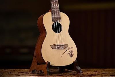 Ortega RU5 ukelele concert