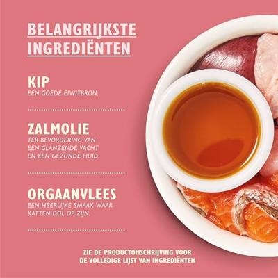 LILY'S KITCHEN CAT KITTEN SMOOTH PATE CHICKEN 19X85 GR LILY'S KITCHEN CAT KITTEN SMOOTH PATE CHICKEN 19X85 GR