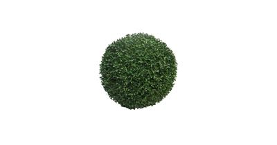Box Princeville Pall diameter 38 cm kunstplant Erutan Avon - Erutan avon Box Princeville Pall diameter 38 cm kunstplant Erutan Avon - Erutan avon