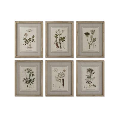 Schilderij Home ESPRIT Shabby Chic Botanische planten 30 x 2 x 40 cm (6 Stuks)