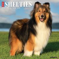 Shetland Sheepdog Kalender 2026 - thumbnail