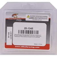 ALL BALLS Racing wiellagerset wheel bearing sets 25-134 complete with simmerrings - thumbnail