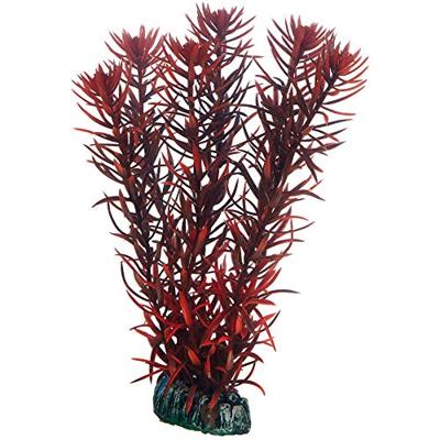 Plantasy set 3 decoratie planten Hobby Smulders - Smulders