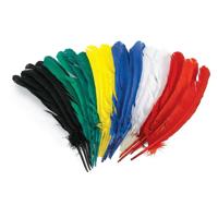 Colorations - veren 30cm, set van 24 - thumbnail