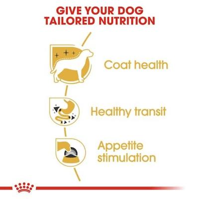 ROYAL CANIN Chihuahua - pak 12x85g