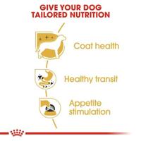 Royal Canin canin chihuahua pouch - thumbnail