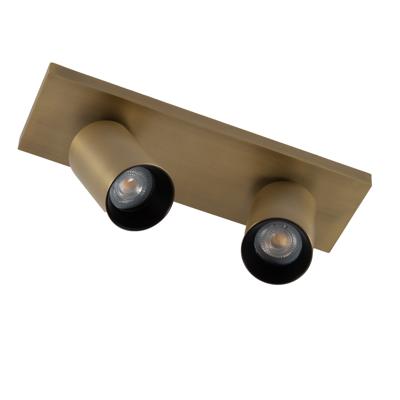 Lynn 2 Opbouwspot Messing met Smart RGB LED