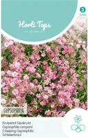 Zaden Gypsophila kruipend Gipskruid rose Hortitops - Hortitops - thumbnail