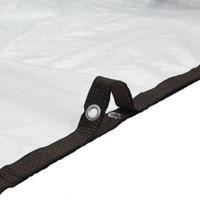 Doorzichtig zeildoek met zeilringen 2x8 m polyethyleen - thumbnail