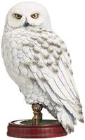Noble Collection Harry Potter - Hedwig 9.5 inch Resin Sculpture decoratie - thumbnail