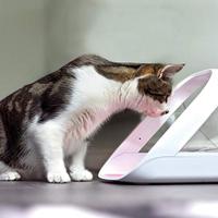 Surefeed Microchip Voerbak Connect - thumbnail
