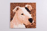 Puzzel Cefatoys - thumbnail