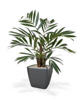 Chamaedorea kunstpalm 65cm - thumbnail