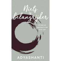 Niets is belangrijker - Adyashanti - Hardcover (9789492995087) - thumbnail