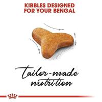 Royal Canin Adult Bengal kattenvoer 2 x 2 kg - thumbnail