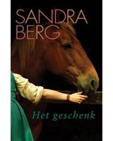 Het geschenk - Sandra Berg - ebook - thumbnail