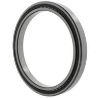 INA SL181876-E-C3 Cilinderlager Boordiameter 380 mm Buitendiameter 480 Toerental (max.) 710 omw/min - thumbnail