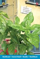 Zaden Basilicum Italiano Classico Buzzy - Buzzy - thumbnail