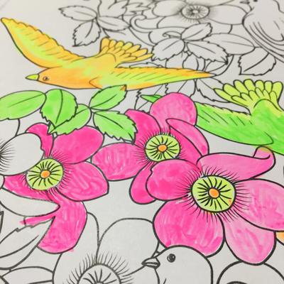 Primo 115A12FM watergedragen verf Multi Kleurenpalet 12 stuk(s) Primo 115A12FM watergedragen verf Multi Kleurenpalet 12 stuk(s)