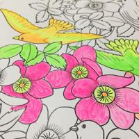 Primo 115A12FM watergedragen verf Multi Kleurenpalet 12 stuk(s) - thumbnail