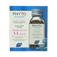 Phytophanère Dietary Supplement - thumbnail