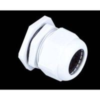 DOTLUX 3299 1 stuk(s) - thumbnail