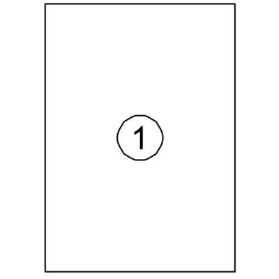 Etiket Quantore 210x297mm 100 stuks