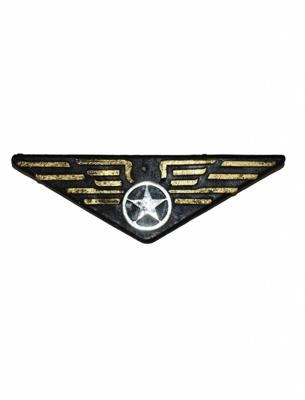 Piloten Badge