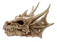 Draak Schedel Decoratie - thumbnail