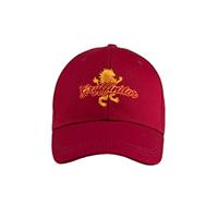 Harry Potter Curved Bill Cap Gryffindor - thumbnail