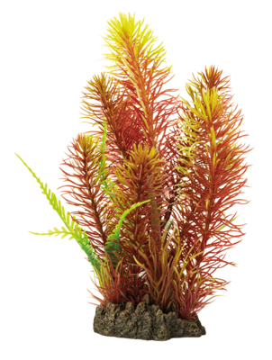 Art plant 25cm myriophyllum red