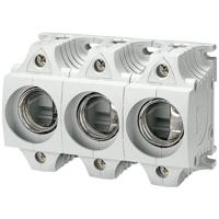Siemens 5SF5268 Diazed zekeringsokkel Afmeting zekering: DIII 63 A 500 V/AC 1 stuk(s) - thumbnail