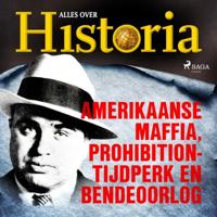Amerikaanse maffia, prohibition-tijdperk en bendeoorlog - thumbnail