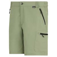 Regatta Leesville III Shorts - thumbnail