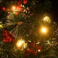 VidaXL Tuinkerstbomen 2 st met verlichting 76 cm pvc - thumbnail