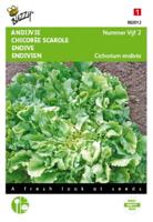 Buzzy® Andijvie Nummer Vijf 2 Zaden - thumbnail