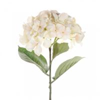 Single hydrangea 68 cm cream - Driesprong collection - thumbnail