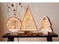 Ornament Hout met Droogbloem 25 LED Ster - thumbnail