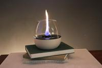 Tulip 18cm - wit - thumbnail