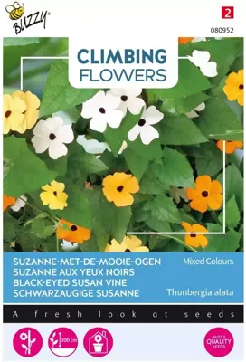 Zaden Flowering Climbers Thunbergia mixed Buzzy - Buzzy