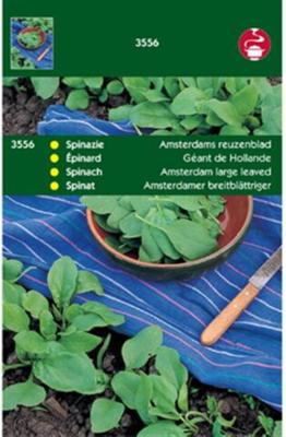 Zaden Spinazie Amsterdams Reuzenblad scherpzaad 100g Tuinplus - Tuinplus