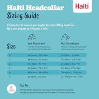 Trainingshalsbanden voor honden Company of Animals Halti Muilkorf (31-40 cm) - thumbnail