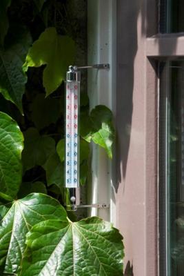 Nature thermometer metalen frame