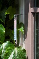 Nature thermometer metalen frame - thumbnail