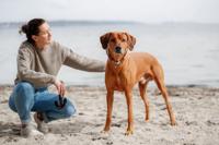 TRIXIE BE NORDIC HONDENSPEELGOED ANKER AAN TOUW STOF 30 CM 3 ST - thumbnail