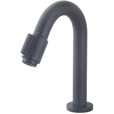 Wiesbaden Victoria Koudwaterkraan Mat Zwart - Fonteinkraan - 1/2"